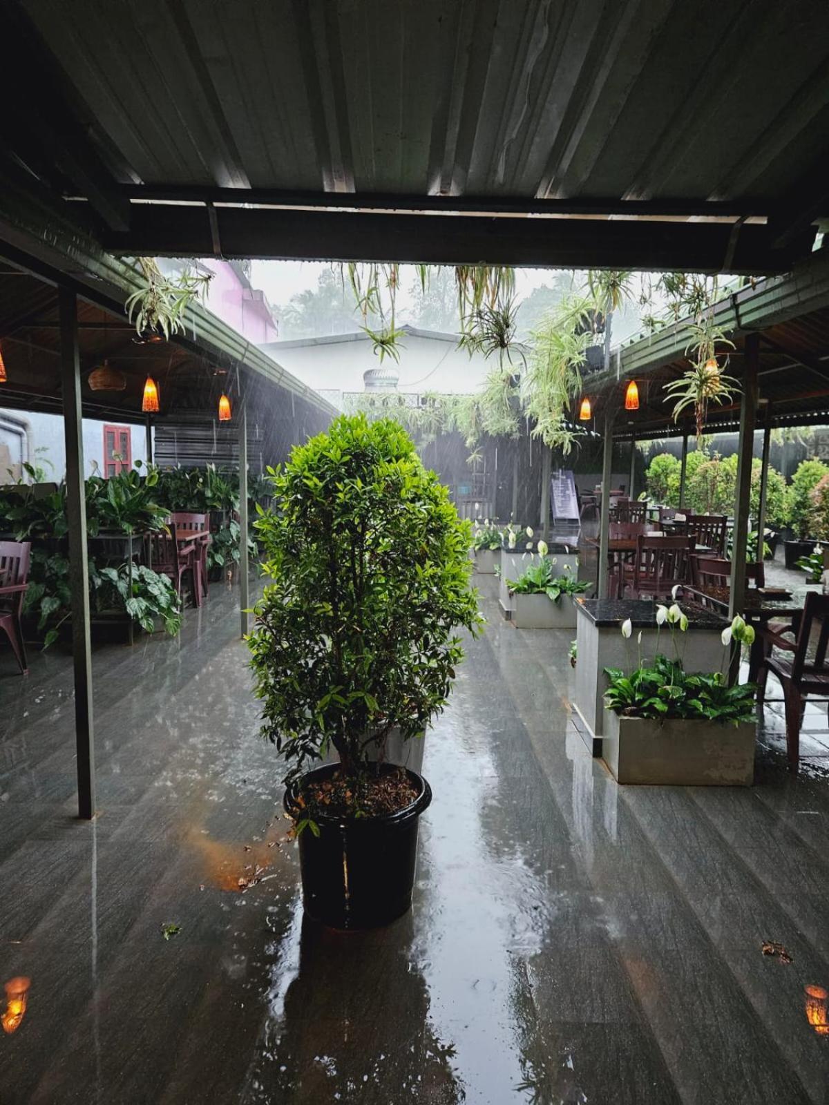 Hotel Mayo Wayanad Dış mekan fotoğraf